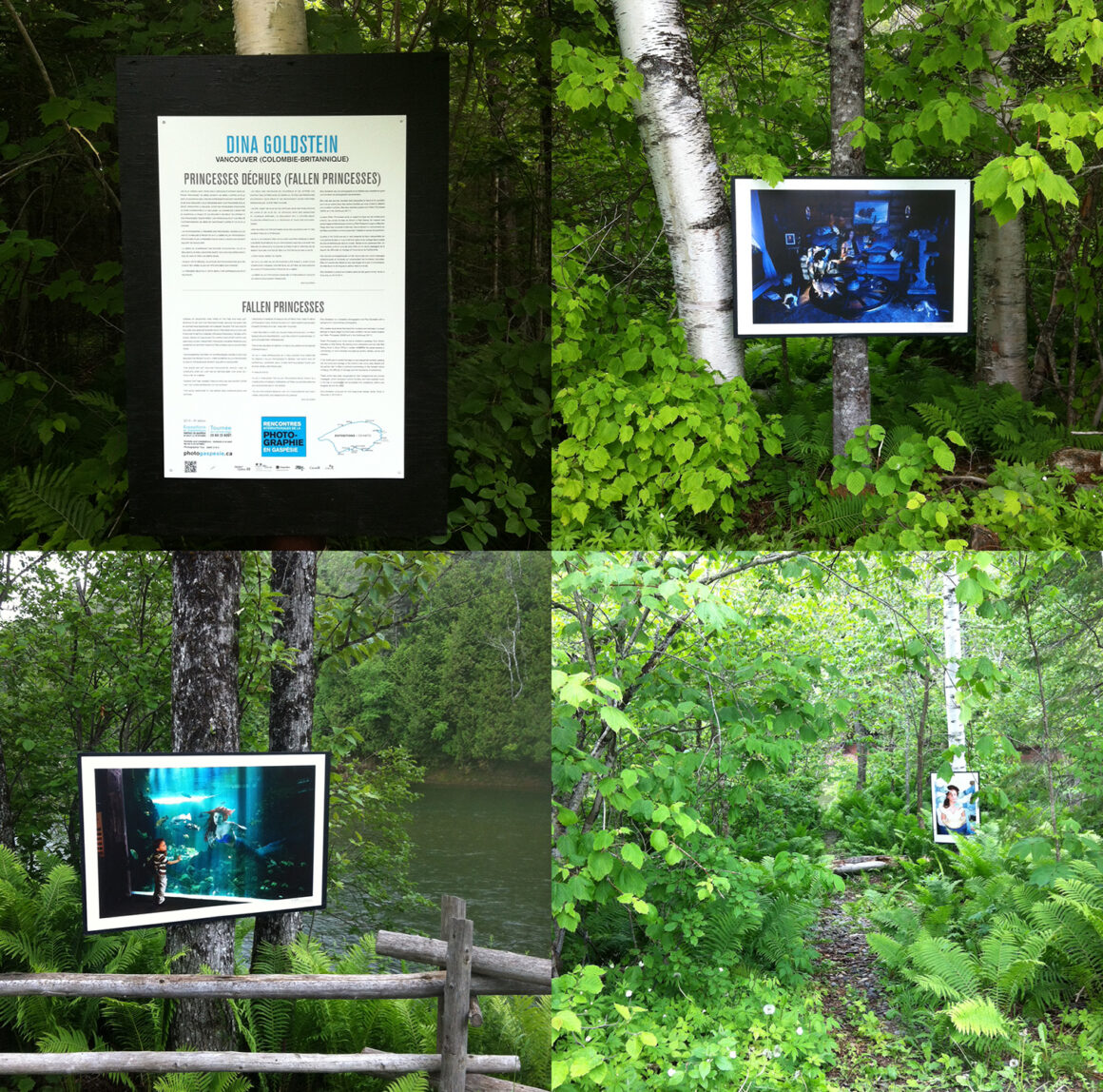 2015 Gaspe composit_web