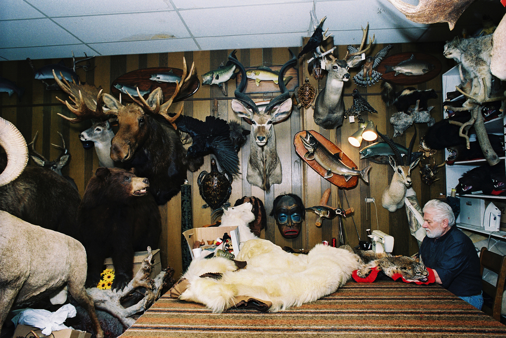 Taxidermist