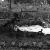 ASHMODAI, GARDEN, 2017