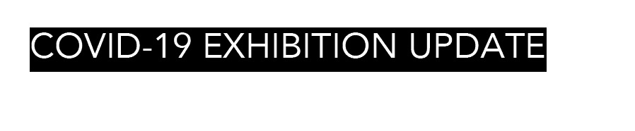 Dina Goldstein Artist Covid- 19 Exhibition Updates