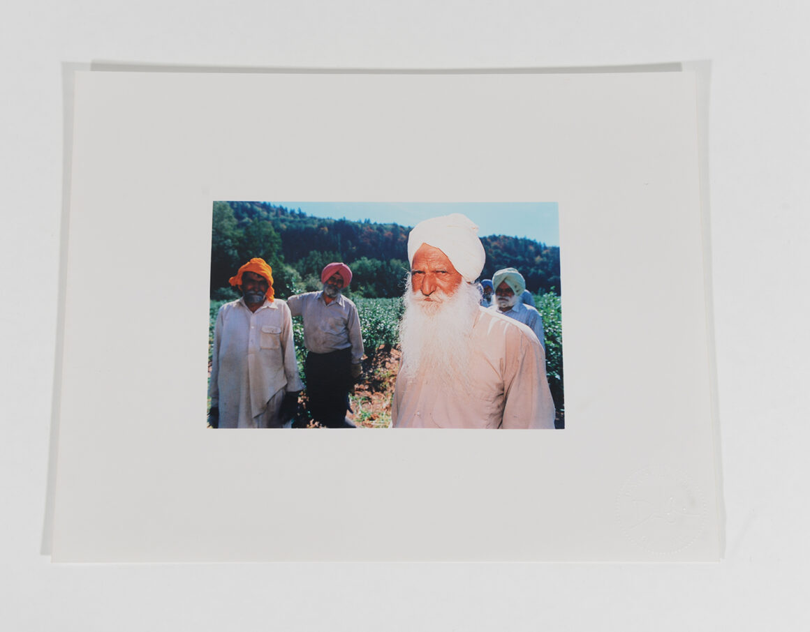 Group of Workers in Field_Blueberry Pickers_2002_88 Group of Workers in Field_Blueberry Pickers_2002_88