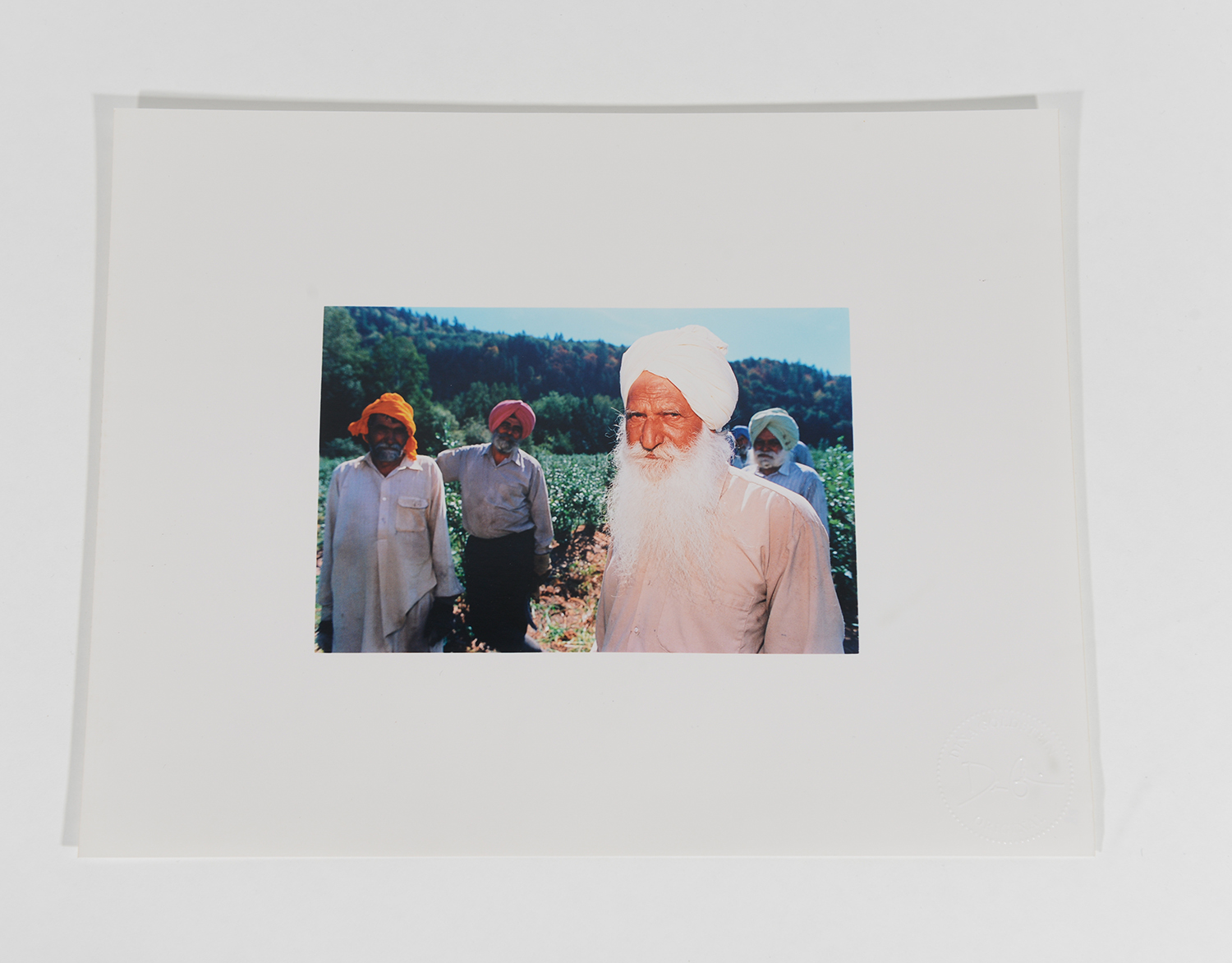 Group of Workers in Field_Blueberry Pickers_2002_88 Group of Workers in Field_Blueberry Pickers_2002_88