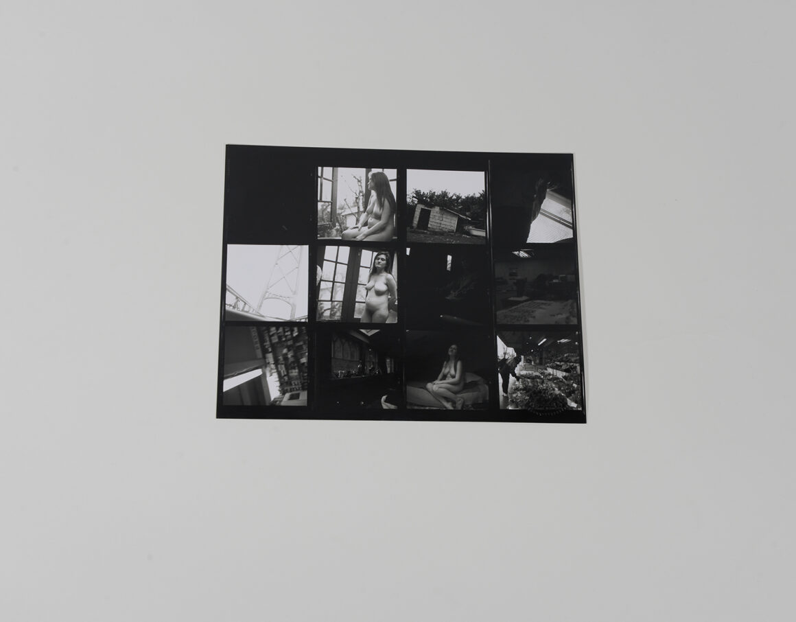 Contact Sheet of Pregnant Woman_Portraits_1991_290
