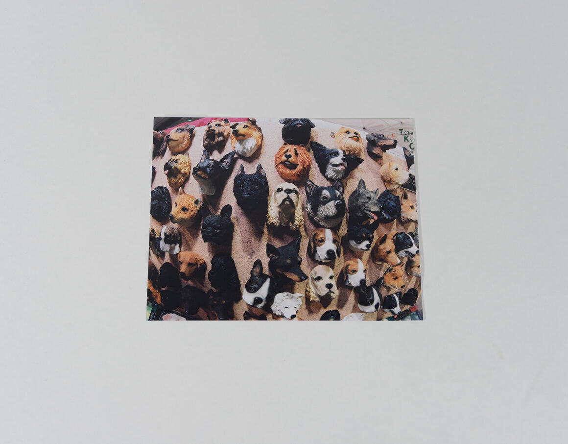 Dog Magnets_DogShow_2003_303