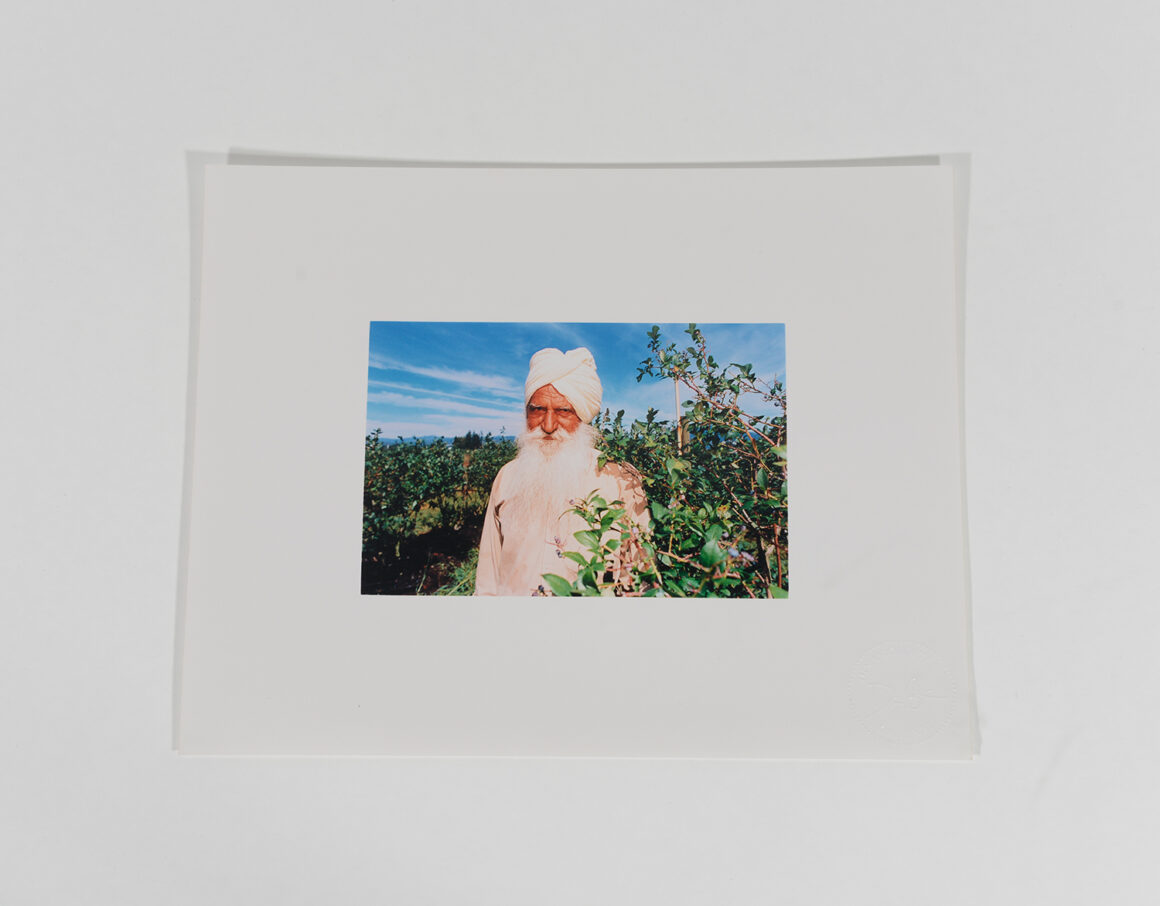 Elderly Man in Field_Blueberry Pickers_2002_89