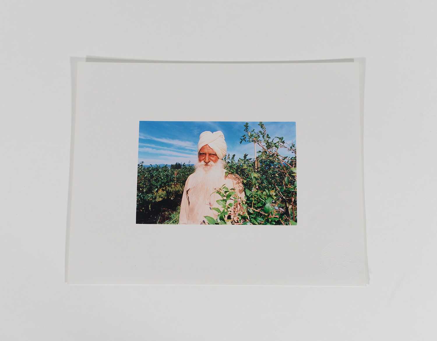 Elderly Man in Field_Blueberry Pickers_2002_89