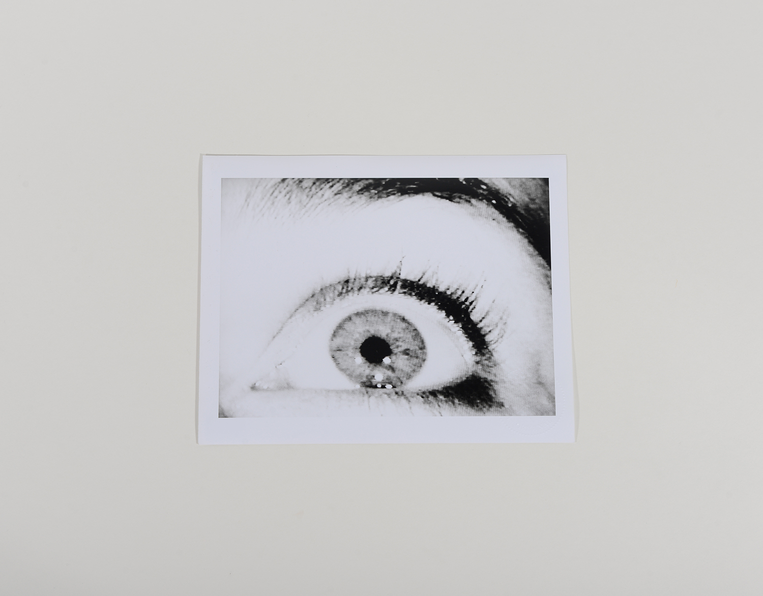 Eye_Eye_2003_774