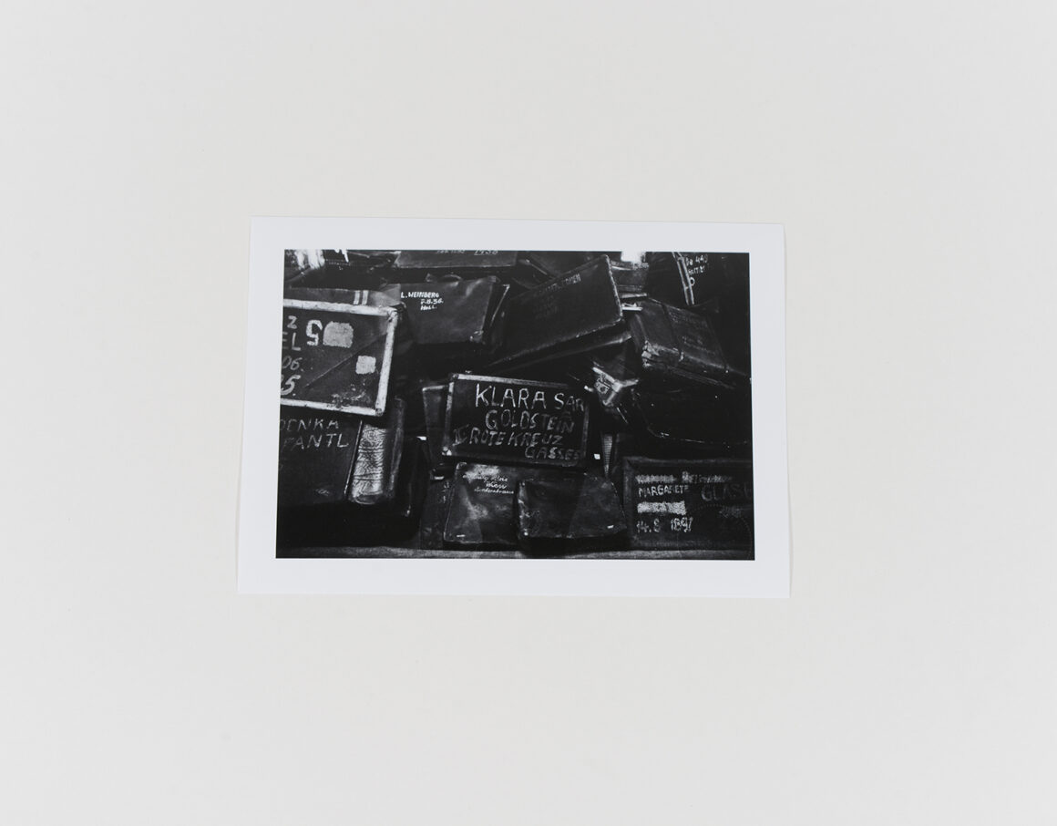 Klara Goldstein_Auchwitz_2014_842