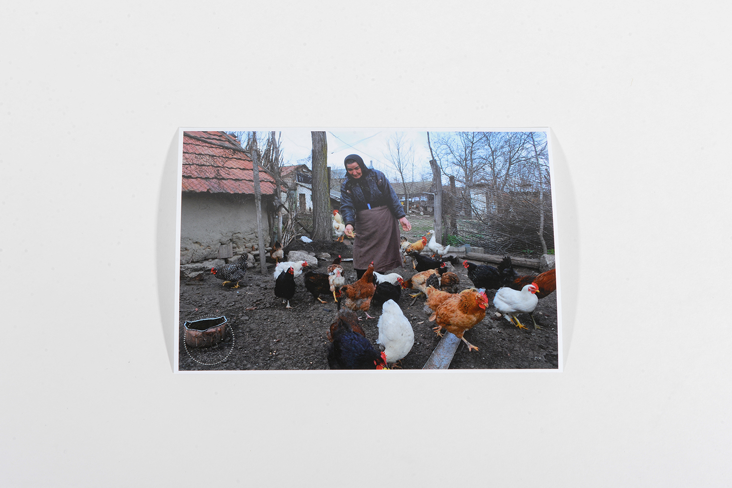 Woman in Chicken Coop_Romania_Travel_2006_1071 Woman in Chicken Coop_Romania_Travel_2006_1071